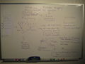 Day2-phylogeny1.whiteboard.JPG