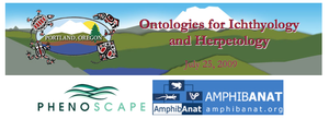ASIH ontology workshop banner