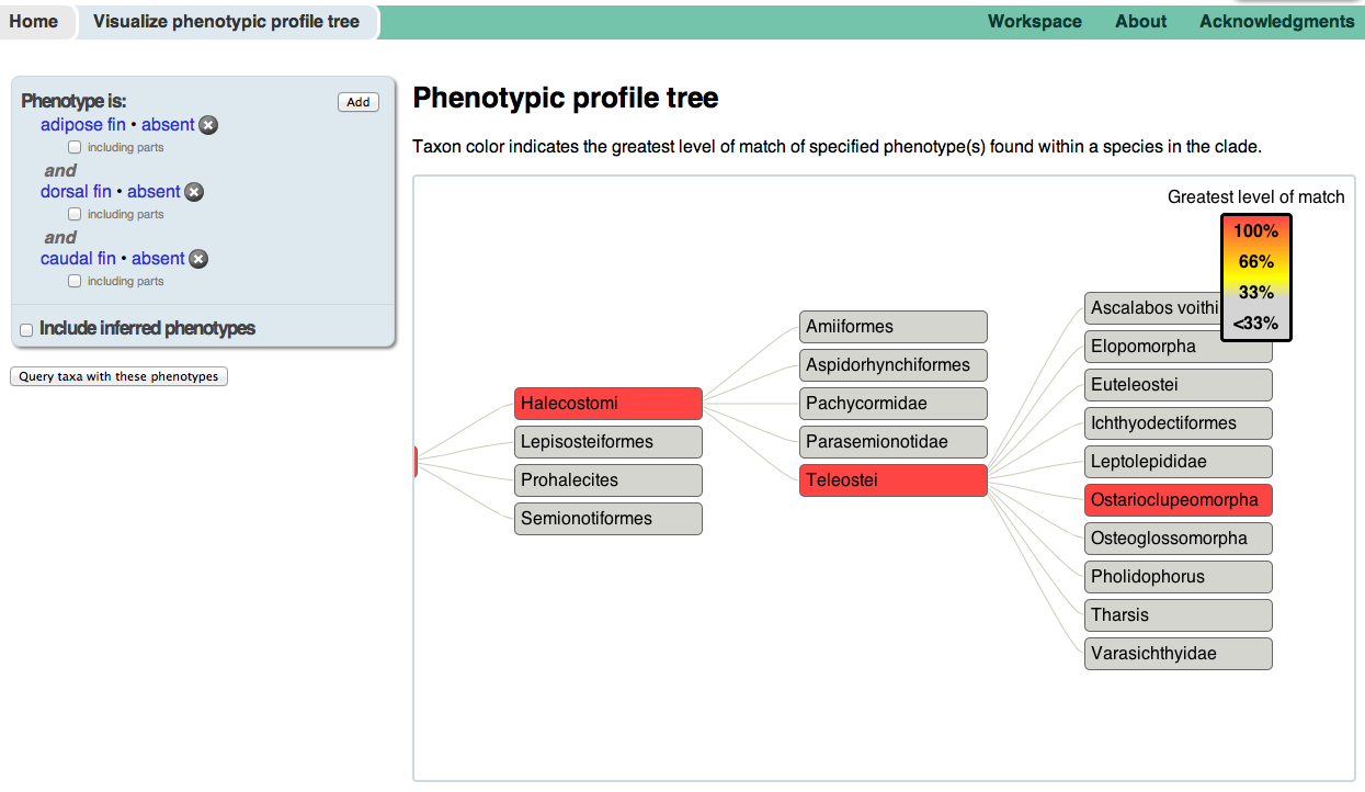 Phenotypic profile
tree.|left|350px