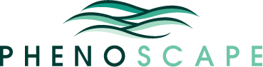 Phenoscape Logo